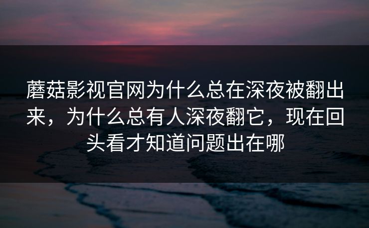蘑菇影视官网为什么总在深夜被翻出来，为什么总有人深夜翻它，现在回头看才知道问题出在哪
