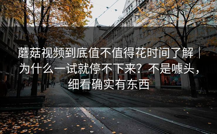 蘑菇视频到底值不值得花时间了解｜为什么一试就停不下来？不是噱头，细看确实有东西