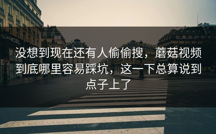 没想到现在还有人偷偷搜，蘑菇视频到底哪里容易踩坑，这一下总算说到点子上了