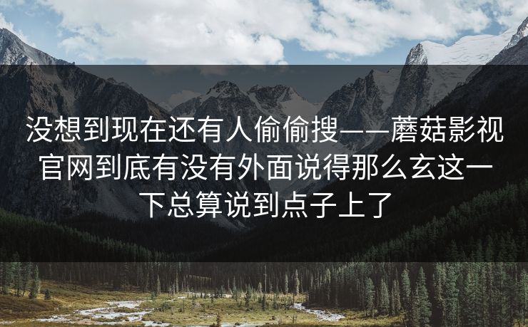 没想到现在还有人偷偷搜——蘑菇影视官网到底有没有外面说得那么玄这一下总算说到点子上了