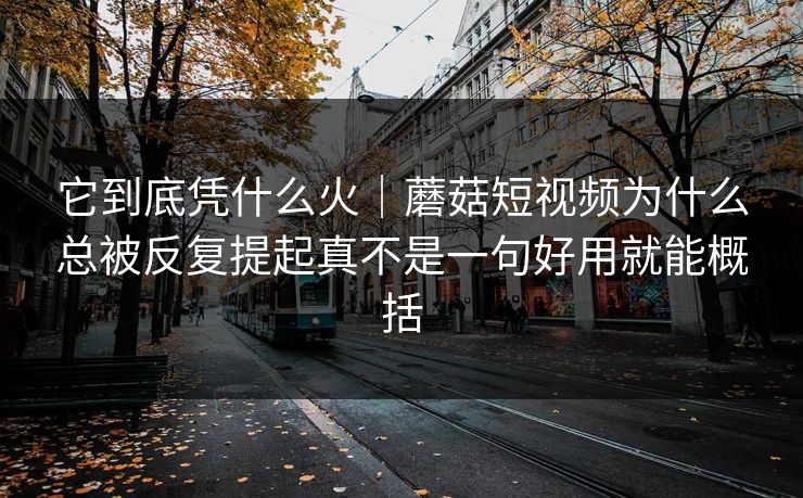 它到底凭什么火|蘑菇短视频为什么总被反复提起真不是一句好用就能概括