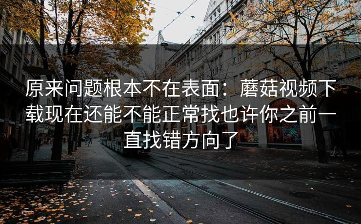 原来问题根本不在表面：蘑菇视频下载现在还能不能正常找也许你之前一直找错方向了