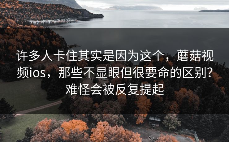 许多人卡住其实是因为这个，蘑菇视频ios，那些不显眼但很要命的区别？难怪会被反复提起