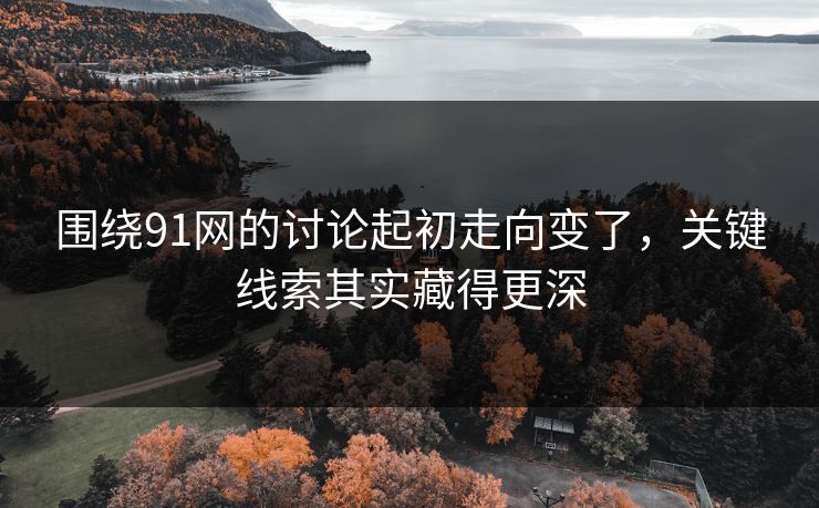围绕91网的讨论起初走向变了，关键线索其实藏得更深