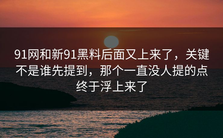 91网和新91黑料后面又上来了，关键不是谁先提到，那个一直没人提的点终于浮上来了