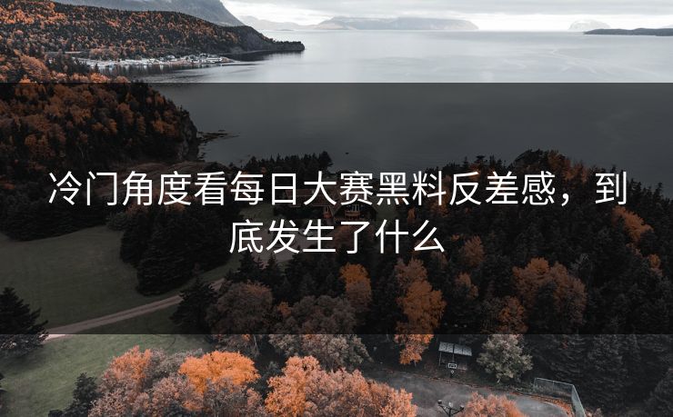 冷门角度看每日大赛黑料反差感,到底发生了什么