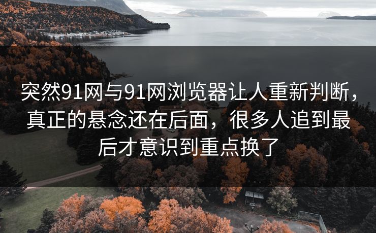 突然91网与91网浏览器让人重新判断，真正的悬念还在后面，很多人追到最后才意识到重点换了